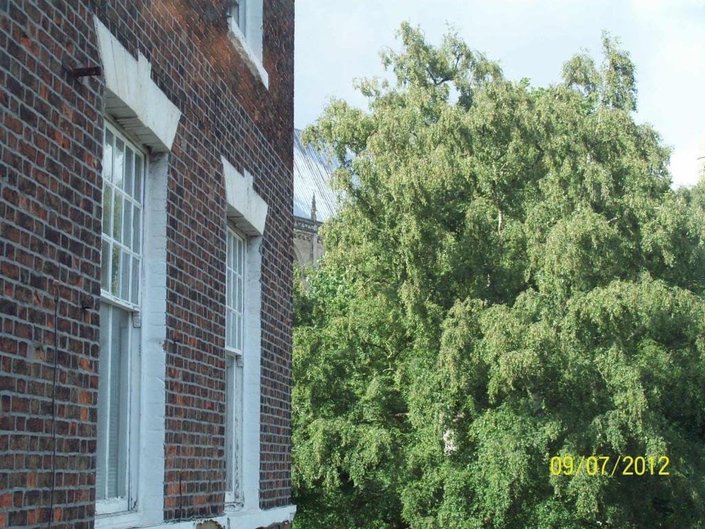 Minster Garth Guest House Beverley Camera foto
